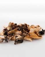 TEI Dried Garniture Forestiere Mushrooms 500g