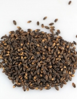 The Essential Ingredient Black Barley 2kg